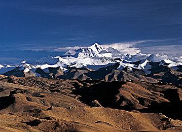 如何免费玩转Steam千款热游？一个野豹加速器轻松搞定！